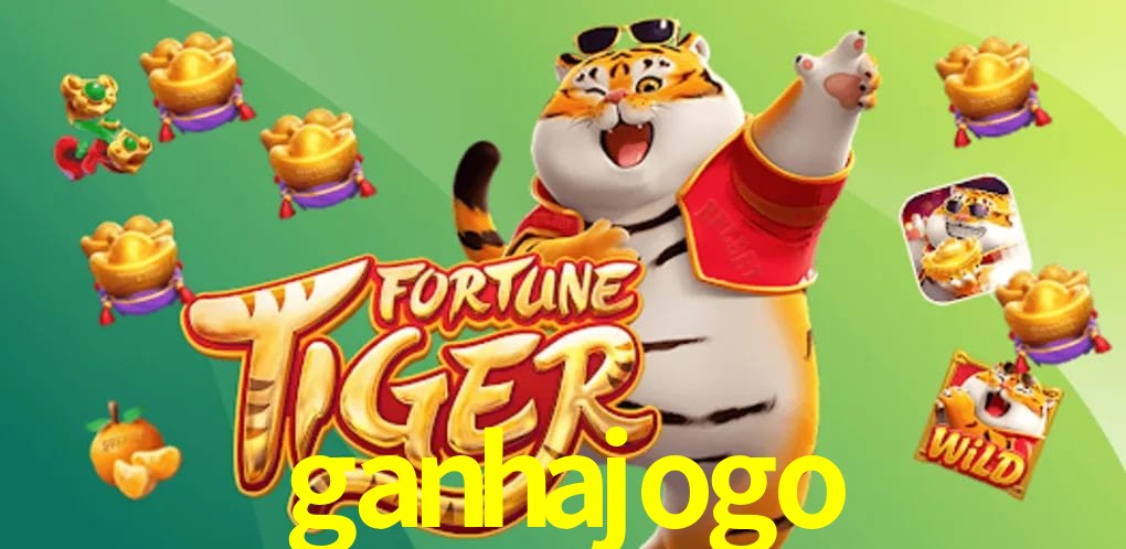 Experiência VIP ganhajogo