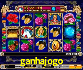 Bônus após cadastro na ganhajogo